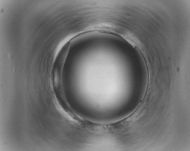 X0000066080960200603171027