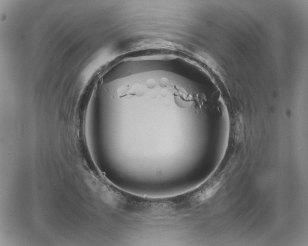 X0000066080979200603171026