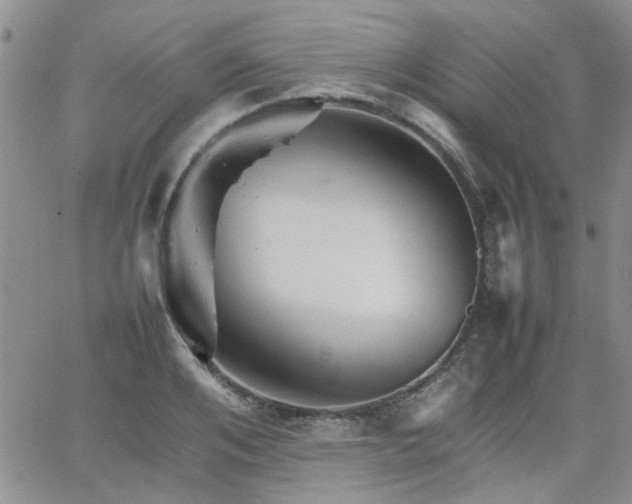 X0000066080984200603171026