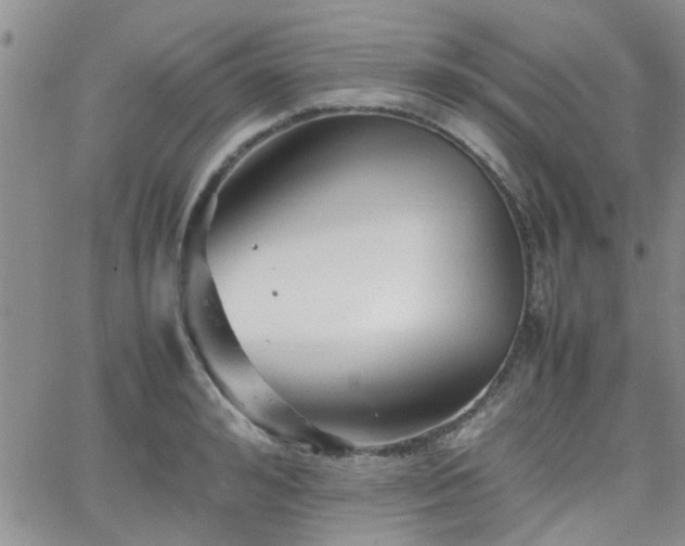 X0000066080992200603171026