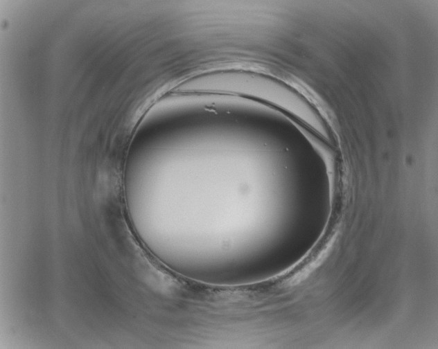 X0000066080993200603171026