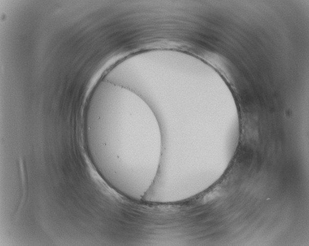 X0000066081000200603171026