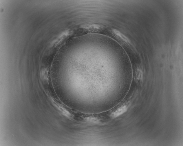 X0000066081010200603171025