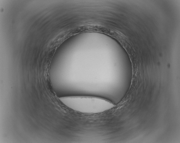 X0000066081014200603171025