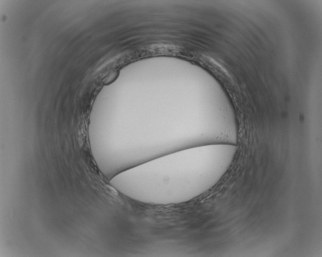 X0000066081015200603171025