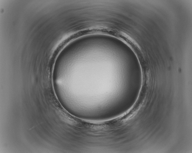 X0000066081021200603171025