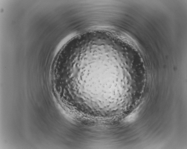 X0000066081050200603171025