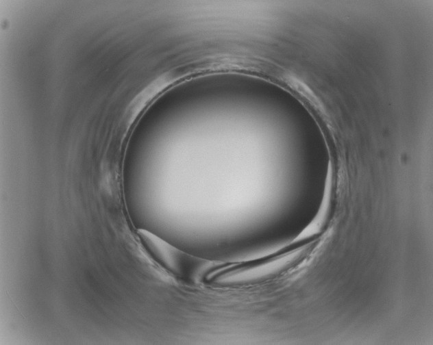 X0000066081089200603171024