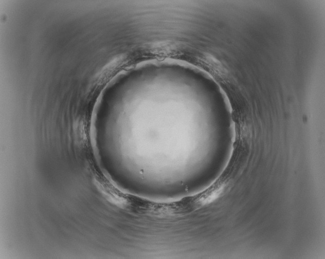 X0000066081106200603171023