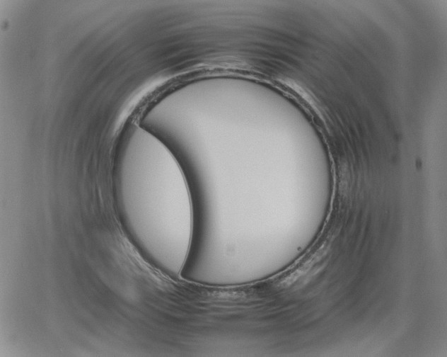 X0000066081115200603171023