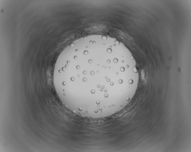 X0000066081203200603171022