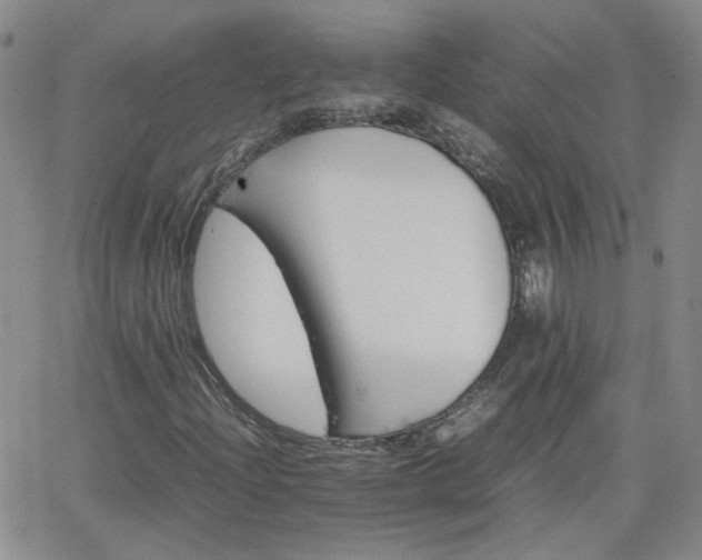 X0000066081204200603171022