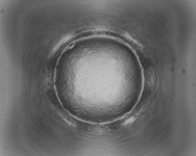 X0000066081255200603171022