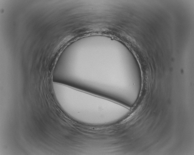 X0000066081257200603171021