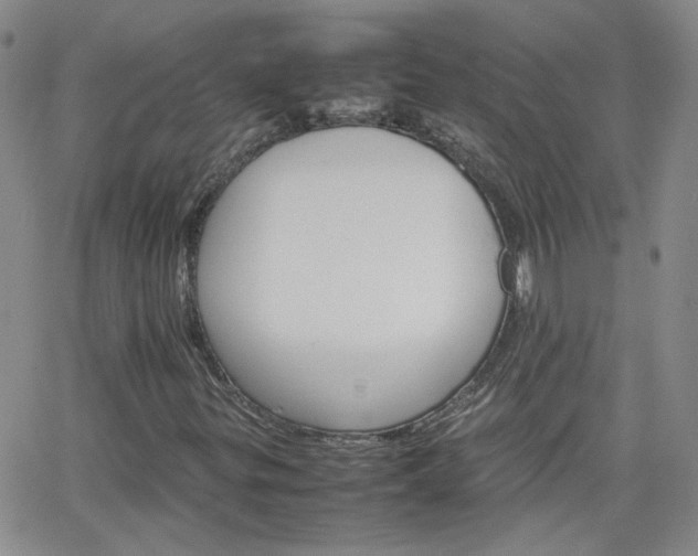X0000066081299200603171020