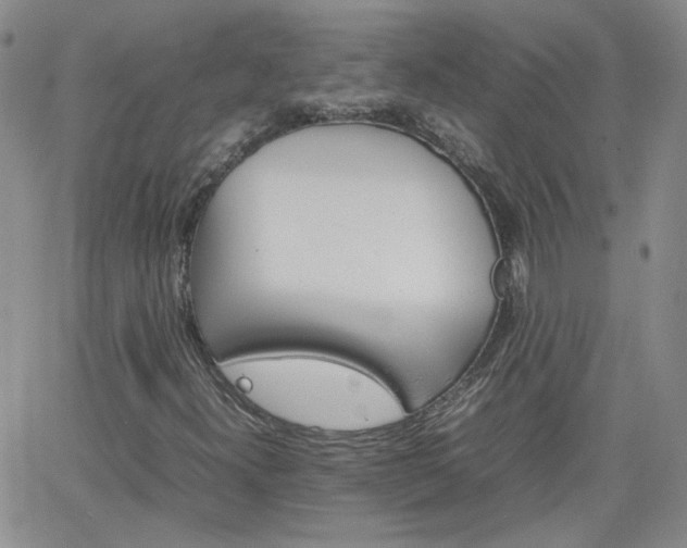 X0000066081300200603171020