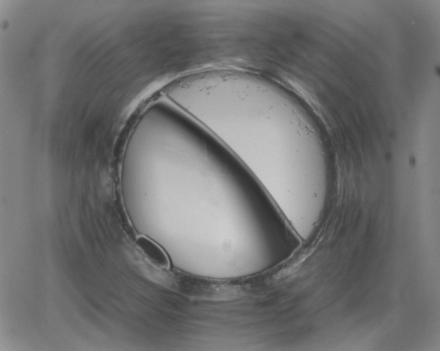 X0000066081308200603171020