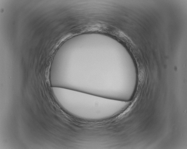 X0000066081353200603171020