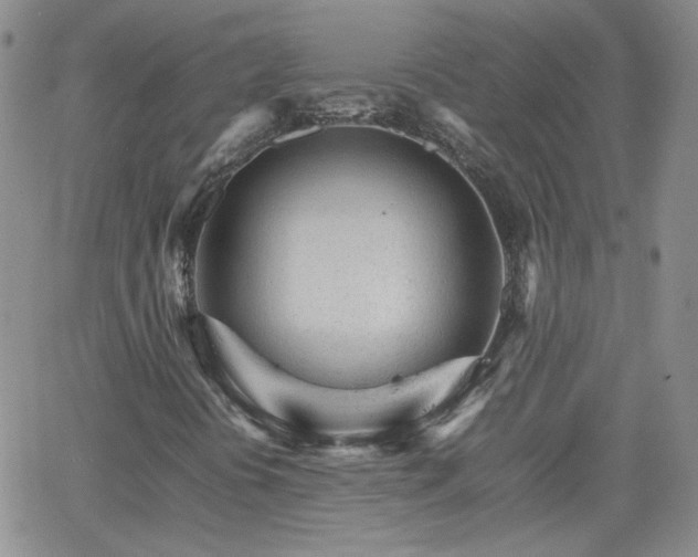 X0000066081394200603171019