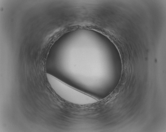X0000066081398200603171019