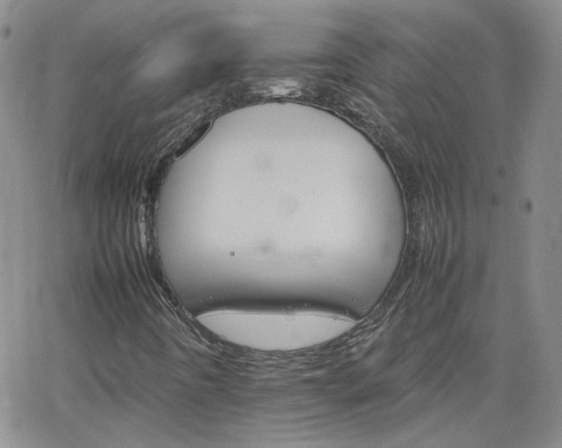 X0000066081442200603171018