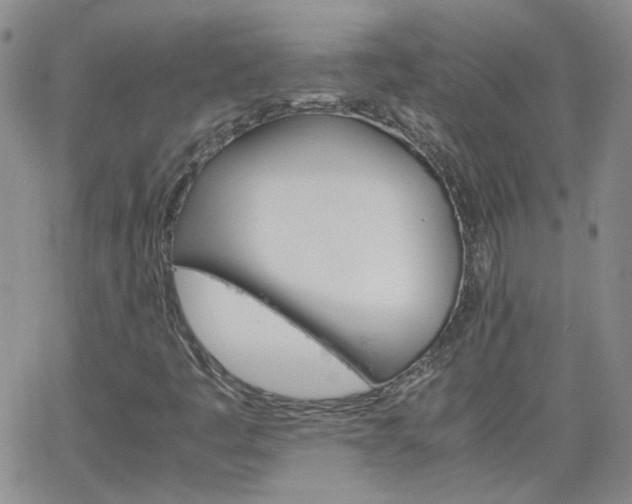 X0000066081445200603171018