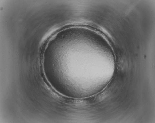 X0000066081456200603171018