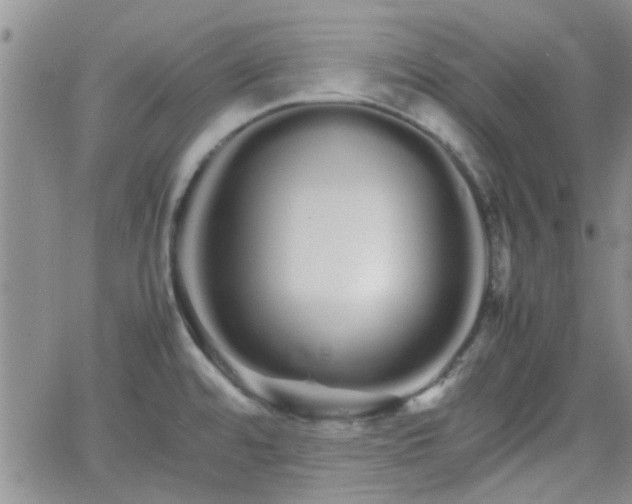 X0000066081480200603171018
