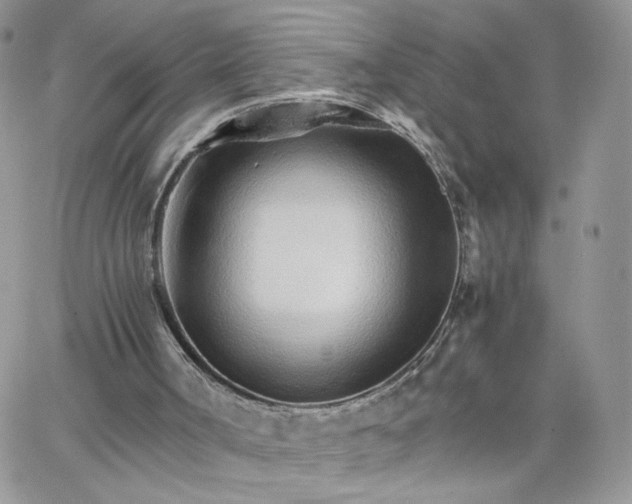 X0000066080002200603241443