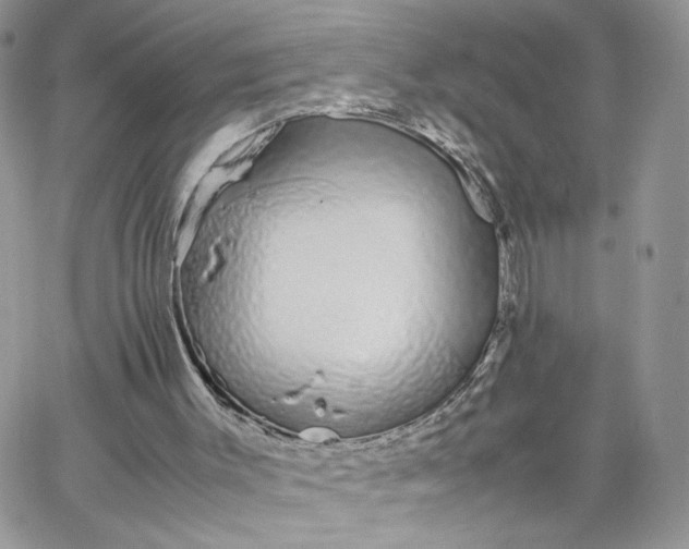 X0000066080003200603241443