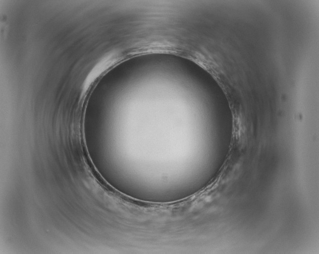 X0000066080004200603241443