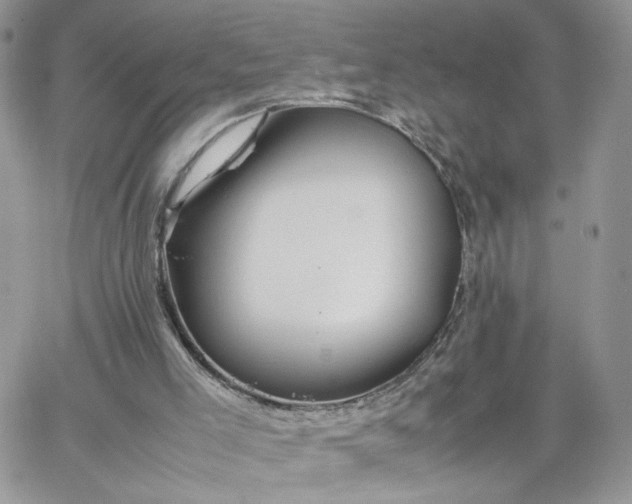 X0000066080005200603241443