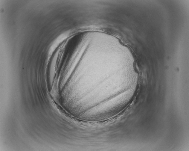 X0000066080006200603241443