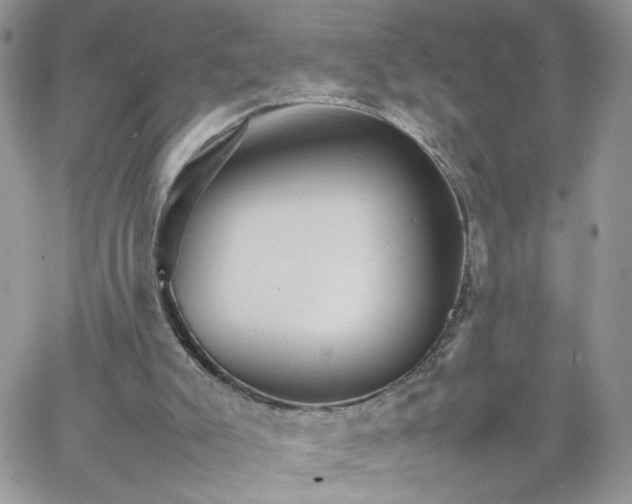 X0000066080007200603241443