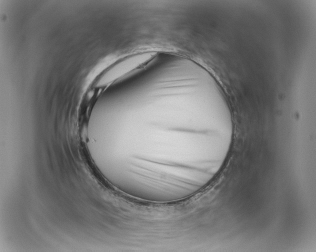 X0000066080008200603241443