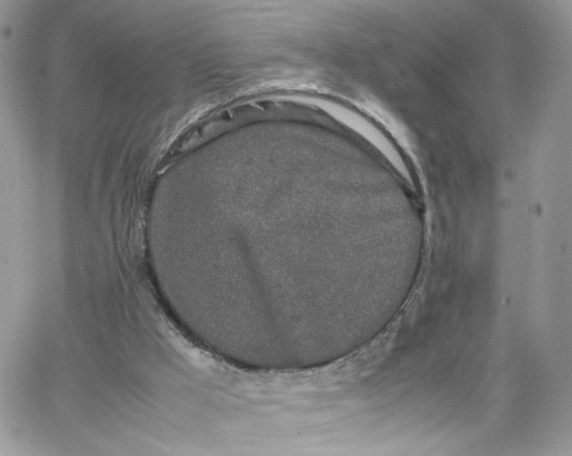 X0000066080009200603241443