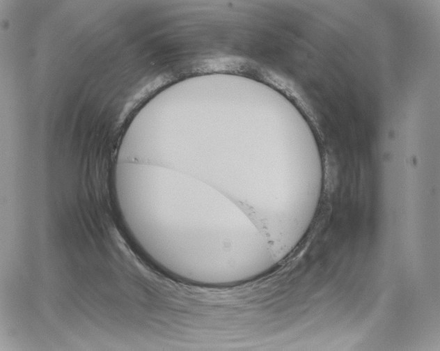 X0000066080010200603241443