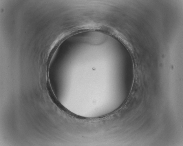 X0000066080011200603241443