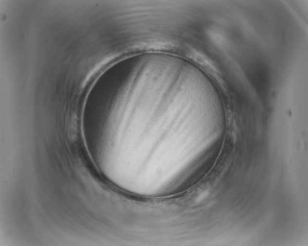 X0000066080012200603241443