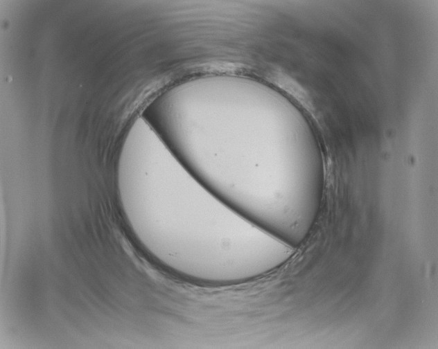 X0000066080013200603241443