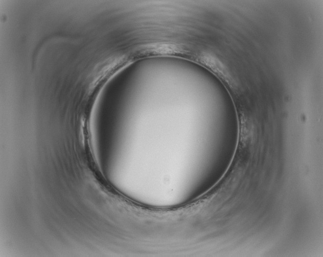 X0000066080014200603241443