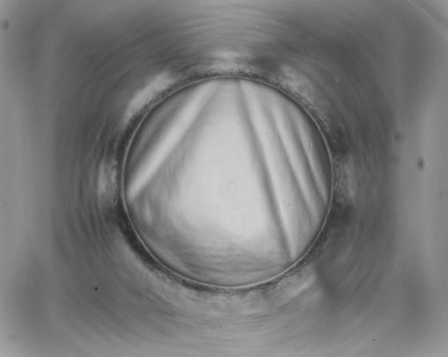 X0000066080016200603241443