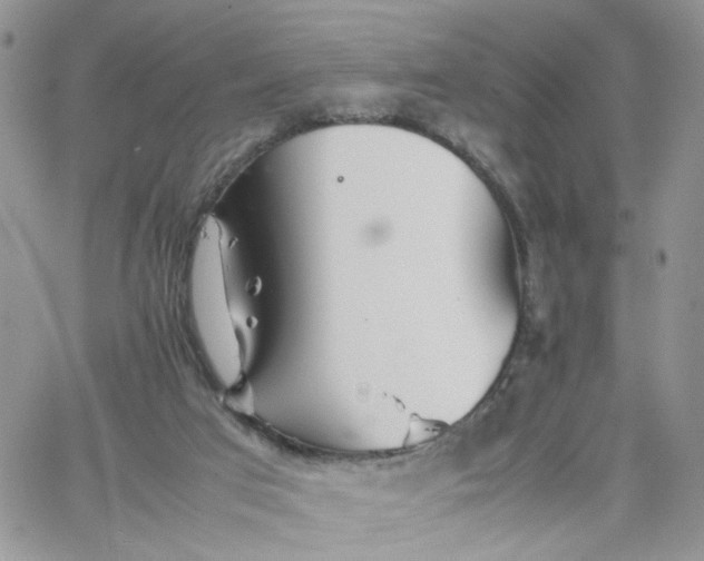 X0000066080017200603241443