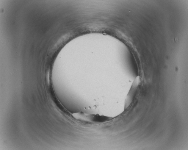 X0000066080019200603241443