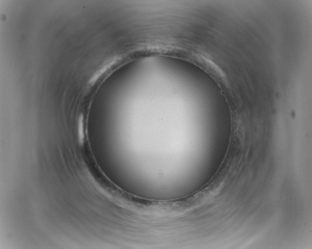 X0000066080020200603241443