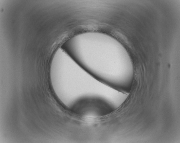 X0000066080023200603241443