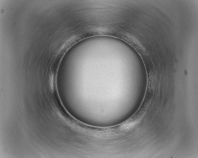 X0000066080024200603241443