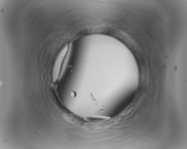 X0000066080025200603241443