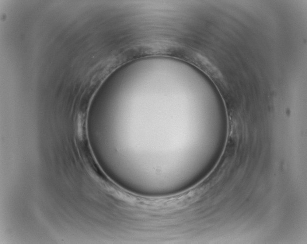 X0000066080026200603241443