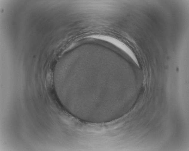 X0000066080029200603241443